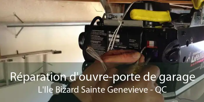 Réparation d'ouvre-porte de garage L'Ile Bizard Sainte Genevieve - QC