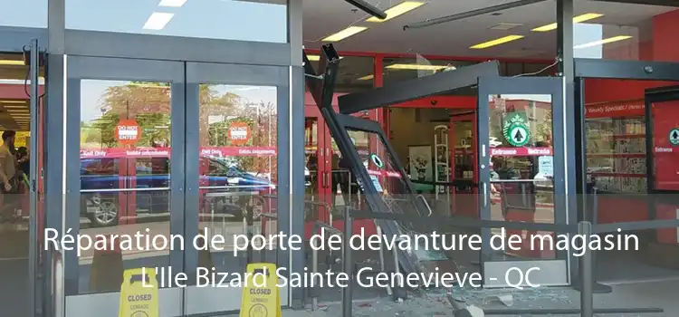 Réparation de porte de devanture de magasin L'Ile Bizard Sainte Genevieve - QC