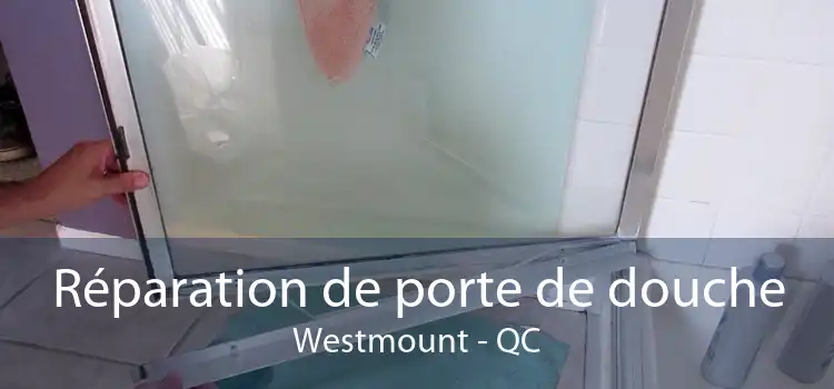 Réparation de porte de douche Westmount - QC